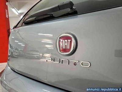 Usato 2013 Fiat Punto 1.5 LPG_Hybrid (6.700 €)