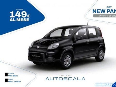 Fiat Panda 1.0 FireFly S&S Hybrid Pozzuoli