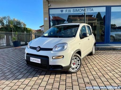 Fiat Panda 1.0 FireFly S&S Hybrid - KM0 Cadrezzate