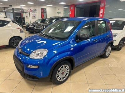 Fiat Panda 1.0 FireFly S&S Hybrid SENZA FINANZIAMENTO Torino