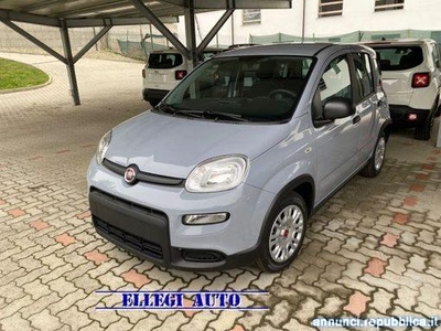 Fiat Panda PROMO FIN. 1.0 FireFly S&S Hybrid MY 23 KM 0 Castello di Annone