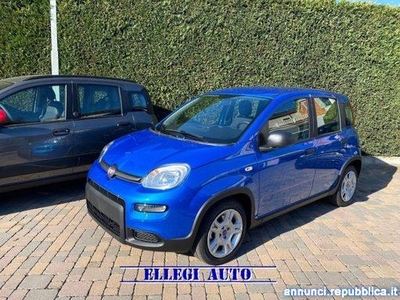 Fiat Panda PROMO FIN. 1.0 FireFly S&S Hybrid MY 23 KM 0 Castello di Annone