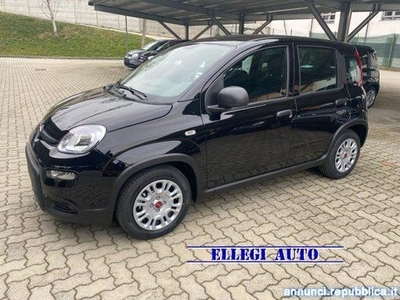 Fiat Panda PROMO FINAN. 1.0 FireFly S&S Hybrid MY 24 KM 0 Castello di Annone