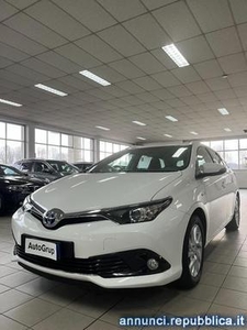 Toyota Auris 1.8 Hybrid Business Moncalieri