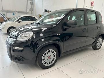 FIAT Panda 1.0 FIREFLY HYBRID EASY KM 0 2024