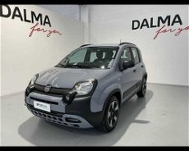 Fiat Panda 1.0 FireFly S&S Hybrid City Cross del 2022 usata a Solaro