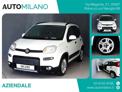 Fiat Panda 1.0 FireFly S&S Hybrid City Cross my 20 usato