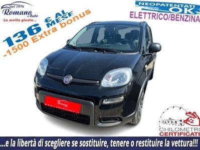 Fiat Panda 1.0 FireFly S&S Hybrid City Cross usato