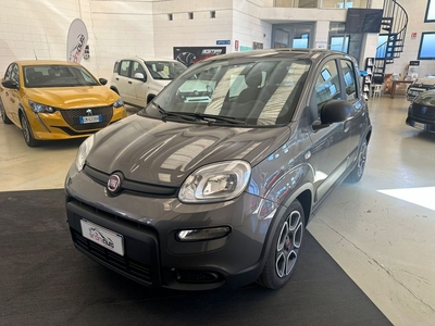 Fiat Panda 1.0 FireFly S&S Hybrid City Cross usato