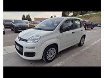 Fiat Panda 1.0 firefly hybrid s&s 70cv del 2022 usata a Gualdo Tadino