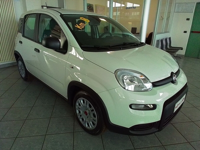 Fiat Panda 1.0 firefly hybrid s&s 70cv 5p.ti nuovo