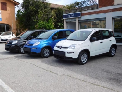 Fiat Panda 1.0 FireFly S&S Hybrid Easy nuovo