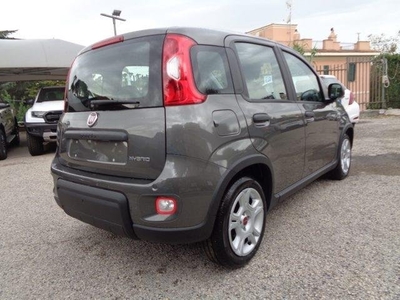 FIAT PANDA 1000 HYBRID CITY LIFE 70CV 5 POSTI PDC ITALIA KM 0 AUTOLANCIANI SPA