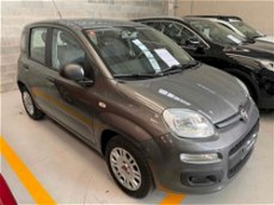 Fiat Panda 1.2 Easy del 2019 usata a Correggio