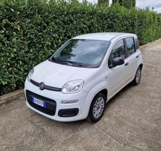 Fiat Panda 1.2 Easy my 11 usato