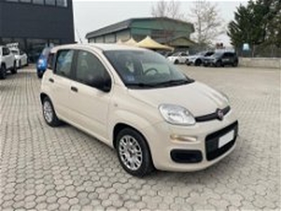 Fiat Panda 1.2 EasyPower Easy del 2015 usata a Massarosa