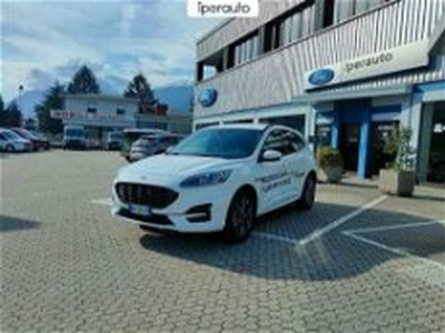 Ford Kuga Kuga 2.5 phev ST-Line X 2wd 243cv auto del 2023 usata a Bergamo