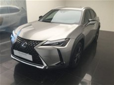 Lexus UX Hybrid 4WD Executive del 2019 usata a Cuneo