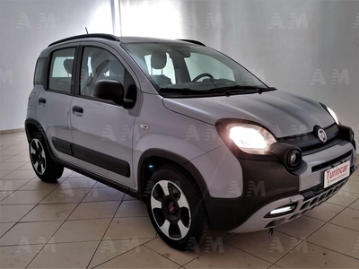 Fiat Panda Cross Cross 1.0 FireFly S&S Hybrid del 2020 usata a Torino