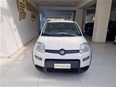 Fiat Panda 1.0 firefly hybrid s&s 70cv 5p.ti del 2022 usata a Somma Vesuviana