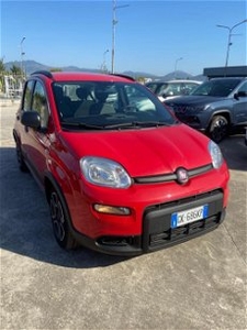 Fiat Panda 1.0 FireFly S&S Hybrid City Cross del 2022 usata a Caserta