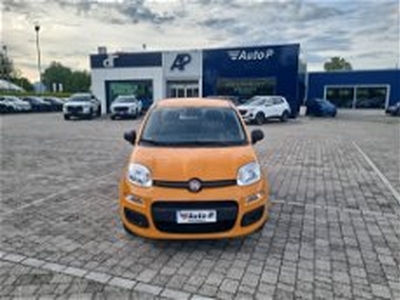 Fiat Panda 1.0 FireFly S&S Hybrid Easy del 2021 usata a Lucca