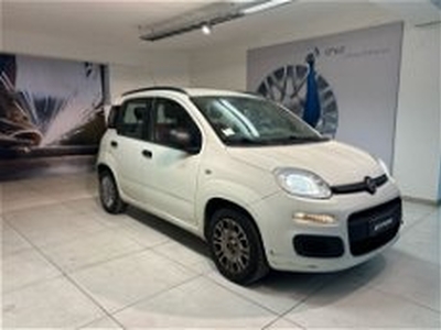 Fiat Panda 1.2 Easy del 2014 usata a L'Aquila