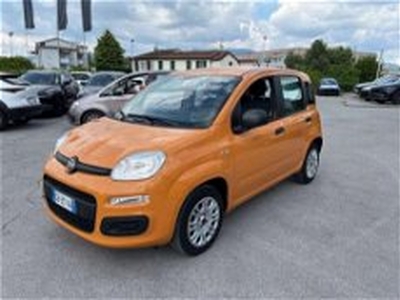 Fiat Panda 1.2 EasyPower Easy del 2020 usata a Barga