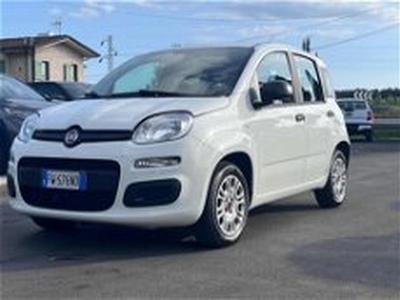 Fiat Panda 1.2 GPL Pop Van 2 posti del 2019 usata a Massarosa