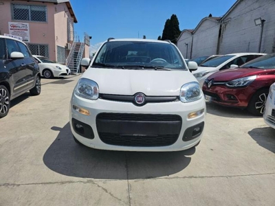 Fiat Panda 1.2 Lounge usato