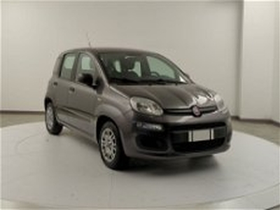 Fiat Panda 1.3 MJT 95 CV S&S Easy del 2018 usata a Pratola Serra