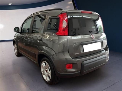 FIAT PANDA My23 1.0 70cv Hybrid Panda