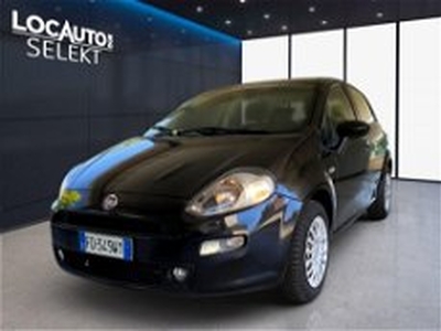 Fiat Punto 1.2 8V 5 porte Street del 2016 usata a Torino