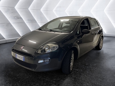 Fiat Punto 1.2 8V 5 porte Street usato