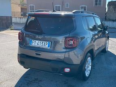 Jeep renegade tenuta da amatore