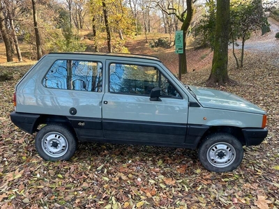 Usato 1985 Fiat Panda 4x4 1.0 Benzin 48 CV (6.900 €)