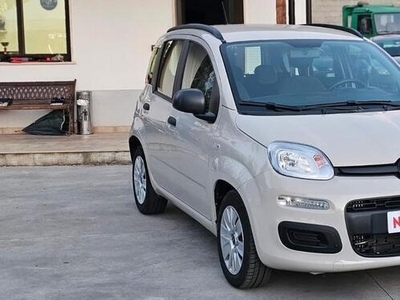 Usato 2017 Fiat Panda 1.2 Diesel 95 CV (7.500 €)