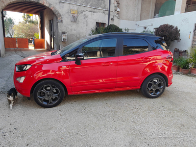 Usato 2020 Ford Ecosport 1.5 Diesel 95 CV (14.500 €)