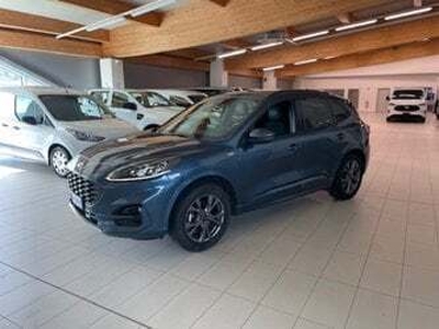 Usato 2020 Ford Kuga 2.5 El_Hybrid 190 CV (28.900 €)