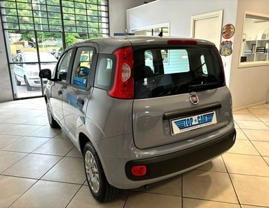 Usato 2022 Fiat Panda 1.2 LPG_Hybrid 69 CV (12.000 €)