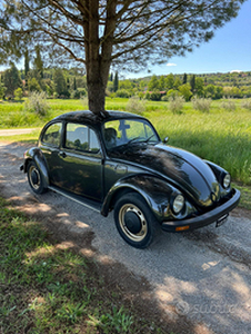 Volkswagen maggiolino messico