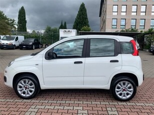 Fiat Panda 0.9 TwinAir Turbo Natural Power Easy usato