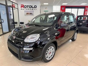 Fiat Panda 1.0 firefly hybrid s&s 70cv nuovo