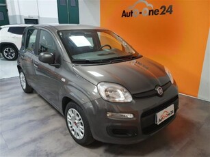 Fiat Panda 1.0 firefly hybrid s&s 70cv 5p.ti usato