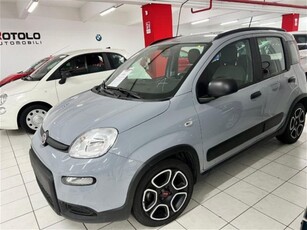 Fiat Panda 1.0 firefly hybrid s&s 70cv usato