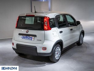 FIAT PANDA 1.0 FireFly S&S Hybrid KM 0 AUTOGHINZANI SRL