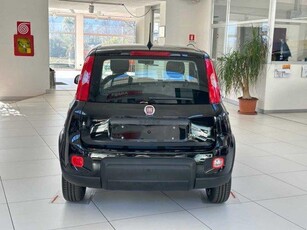 FIAT PANDA 1.0 FireFly S&S Hybrid KM 0 L'AUTO SRL