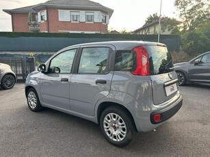 FIAT PANDA 1.0 FireFly S&S Hybrid PREZZO REALE