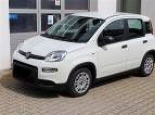 Fiat Panda 1.2 nuovo