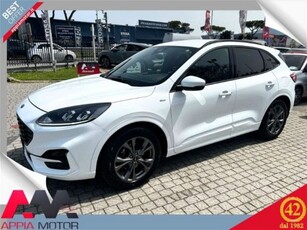 Ford Kuga 1.5 EcoBlue 120 CV 2WD ST-Line usato